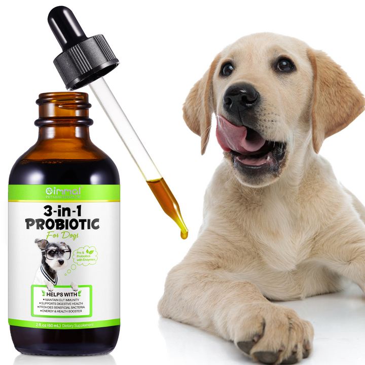 3-in-1 Probiotic Digestive Support for Dogs — 60 mL