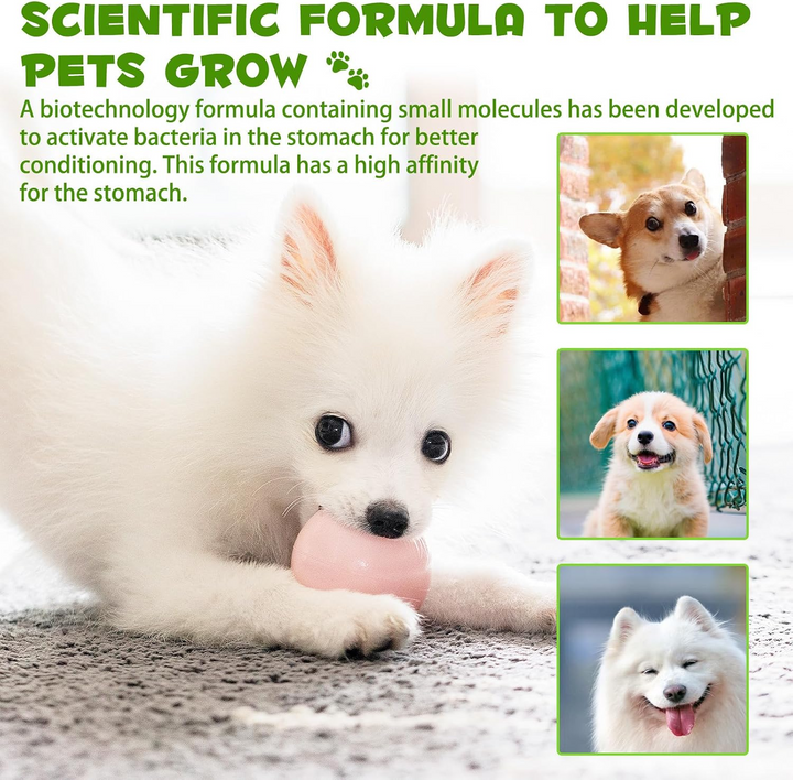 3-in-1 Probiotic Digestive Support for Dogs — 60 mL