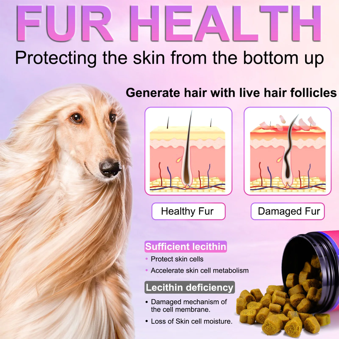 Skin &amp; Coat Omega-3 Treats for Dogs — 150 Soft Chews