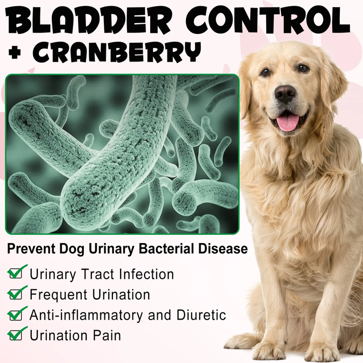 Bladder Control + Urinary Tract Support fro Dogs — 150 Soft Chews