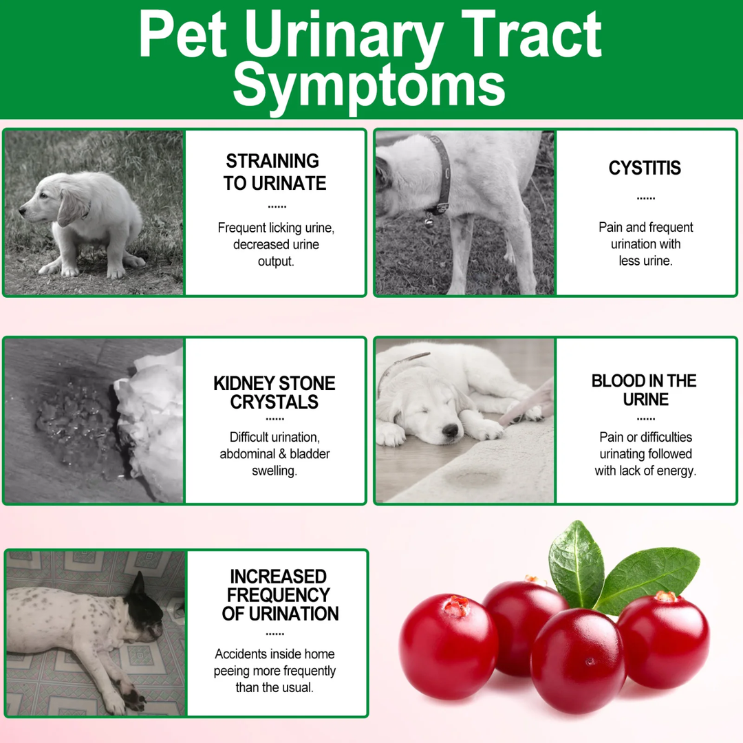 Bladder Control + Urinary Tract Support fro Dogs — 150 Soft Chews