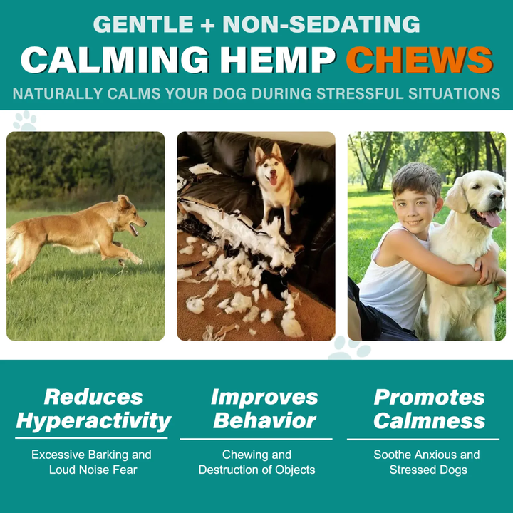 Calming Support Hemp Chews for Dogs — 110 Soft Chews