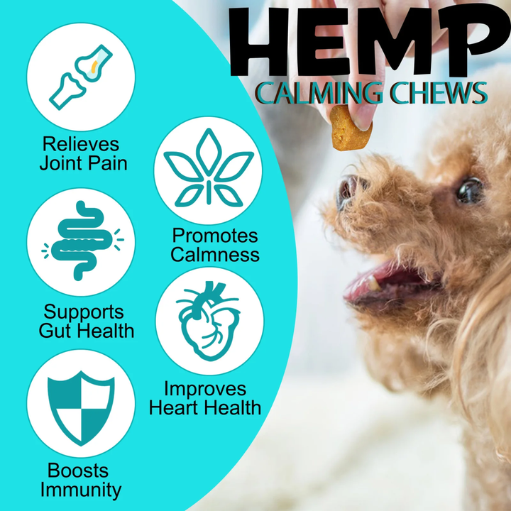 Calming Support Hemp Chews for Dogs — 110 Soft Chews