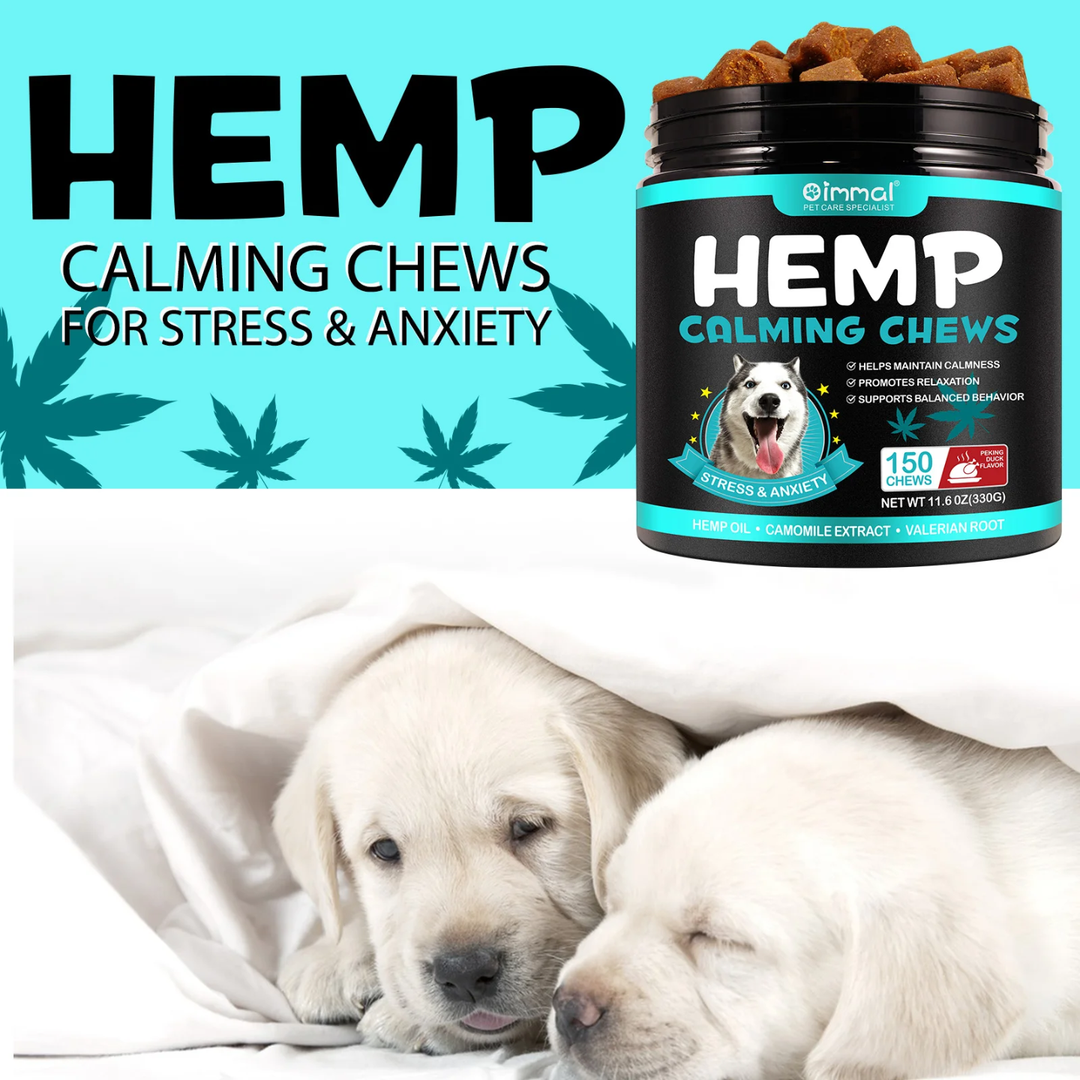 Calming Support Hemp Chews for Dogs — 110 Soft Chews