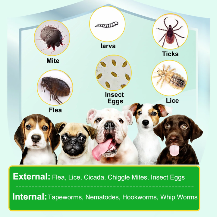 Flea &amp; Tick Support Chews for Dogs — 150 Soft Chews
