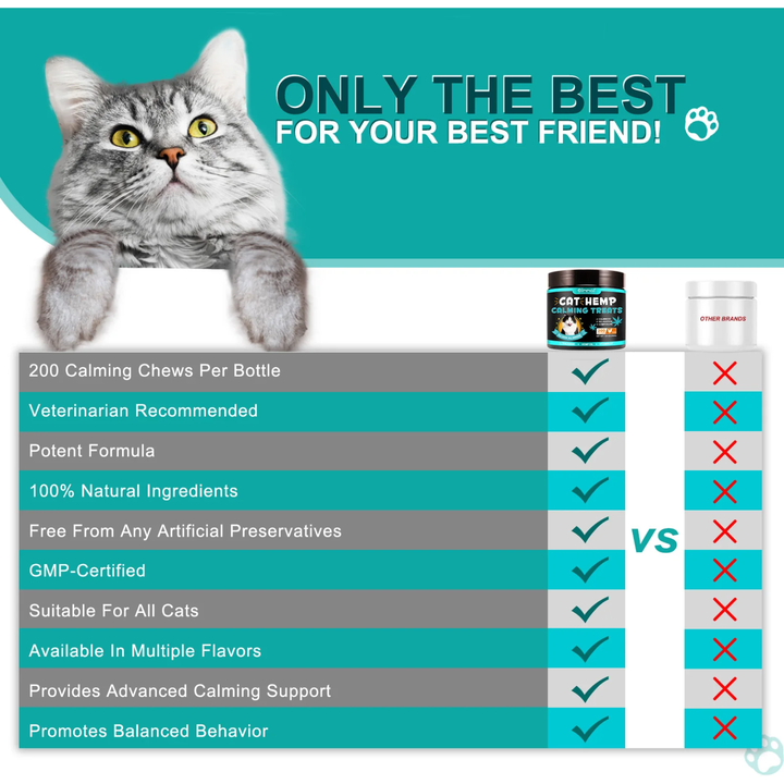Calming Support Chews for Cats — 200 Soft Chews