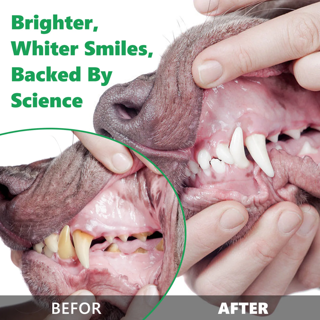Dental Cleaning Powder for Dogs— 120g
