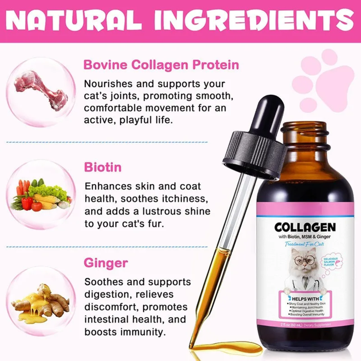 Collagen Pet Skin, Coat &amp; Mobility Support Drops — 60 mL