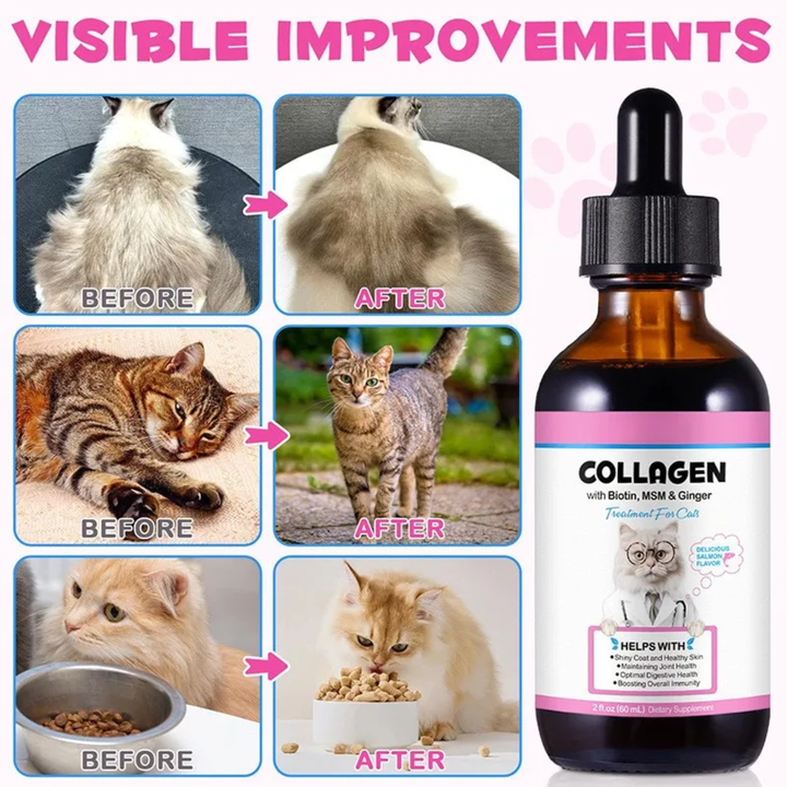 Collagen Pet Skin, Coat &amp; Mobility Support Drops — 60 mL