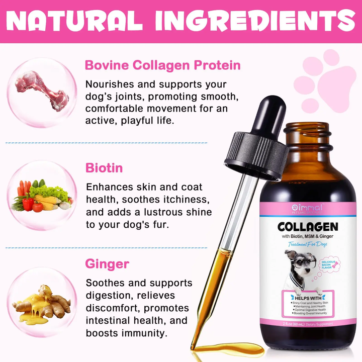 Collagen Pet Skin, Coat &amp; Mobility Support Drops — 60 mL
