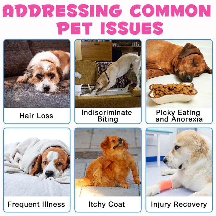 Collagen Pet Skin, Coat &amp; Mobility Support Drops — 60 mL