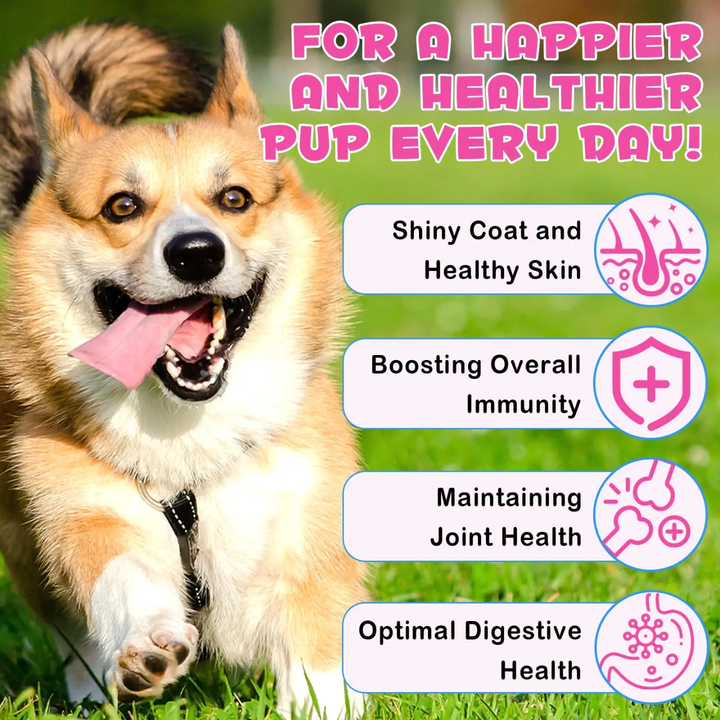 Collagen Pet Skin, Coat &amp; Mobility Support Drops — 60 mL