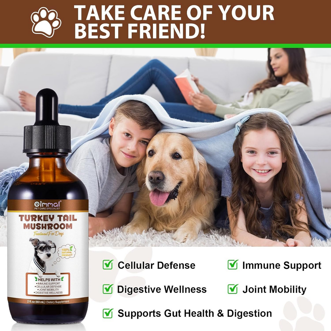 Turkey Tail Mushroom Complex for Dogs — 60ml