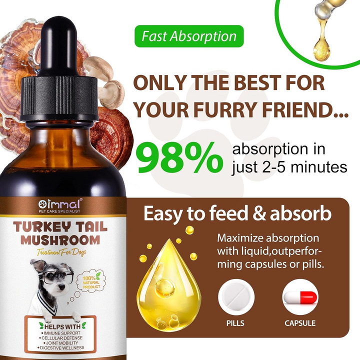 Turkey Tail Mushroom Complex for Dogs — 60ml