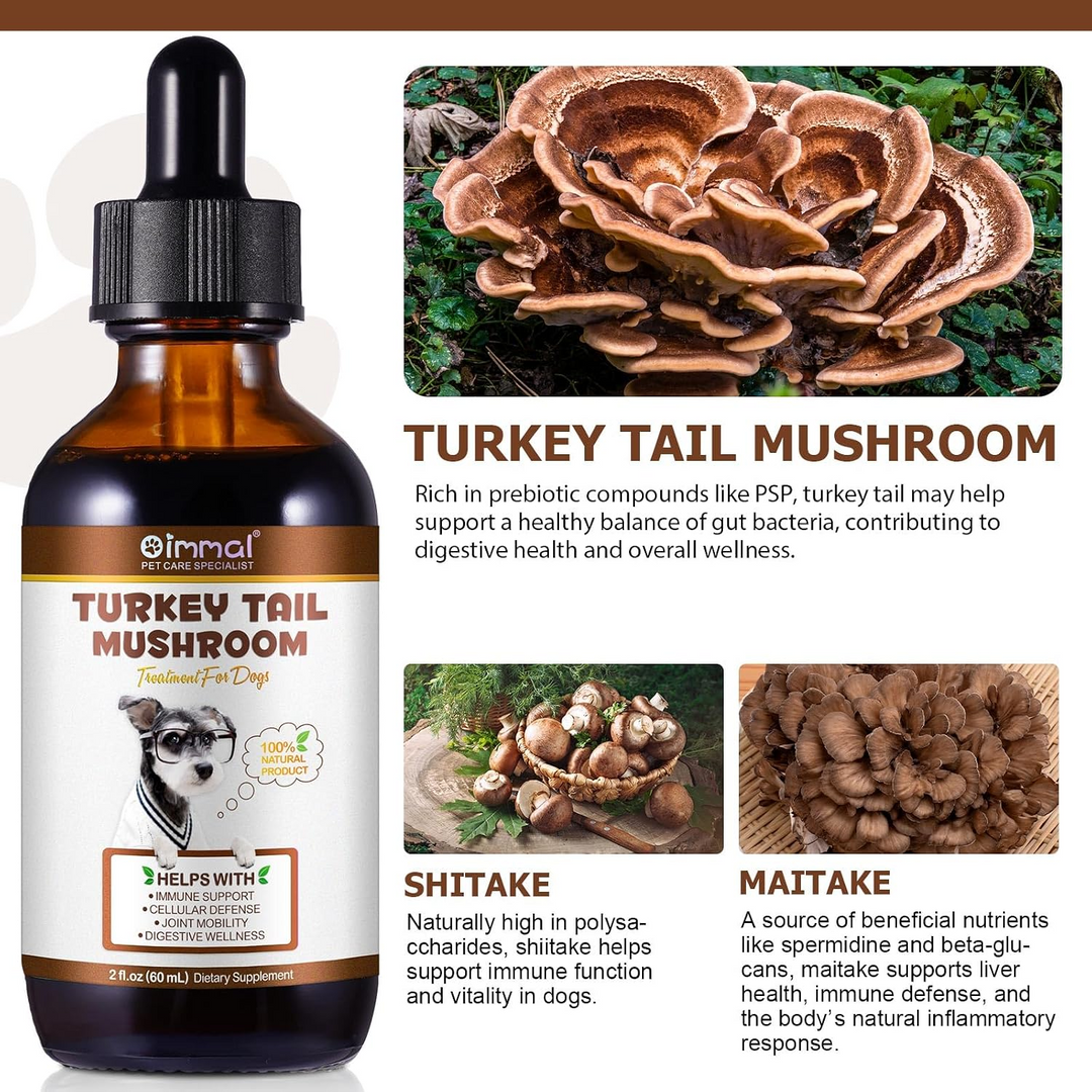 Turkey Tail Mushroom Complex for Dogs — 60ml