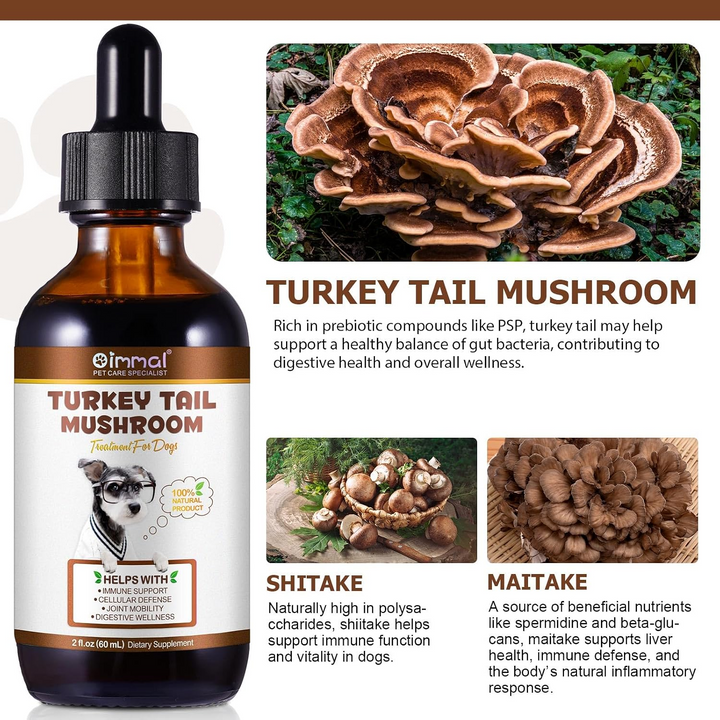 Turkey Tail Mushroom Complex for Dogs — 60ml
