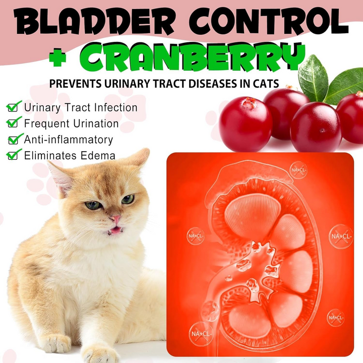 Urinary Tract Cranberry Support for Cats — 60 mL