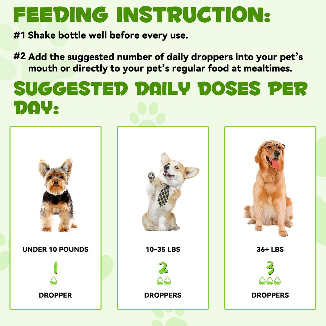 3-in-1 Probiotic Digestive Support for Dogs — 60 mL