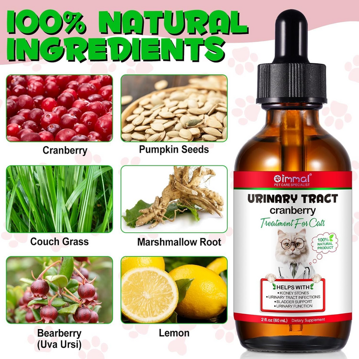 Urinary Tract Cranberry Support for Cats — 60 mL