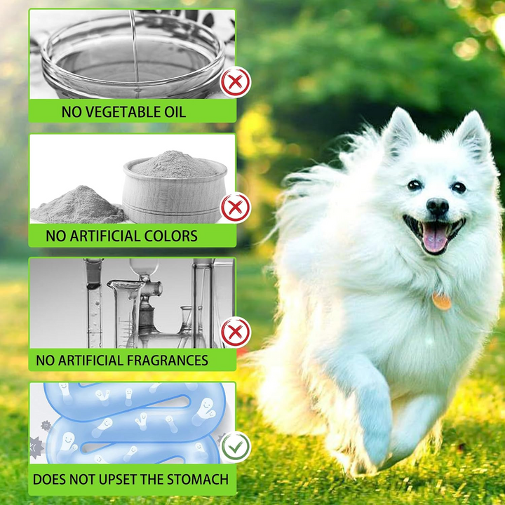 3-in-1 Probiotic Digestive Support for Dogs — 60 mL